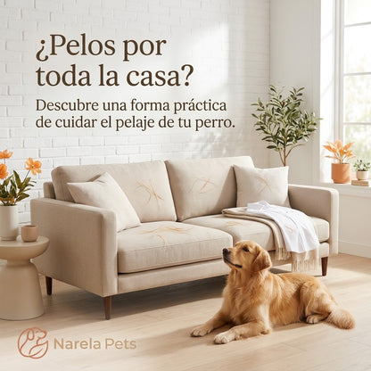 Cepillo Quitapelos para Perros | Pelaje Cuidado, Hogar Más Limpio 🐾